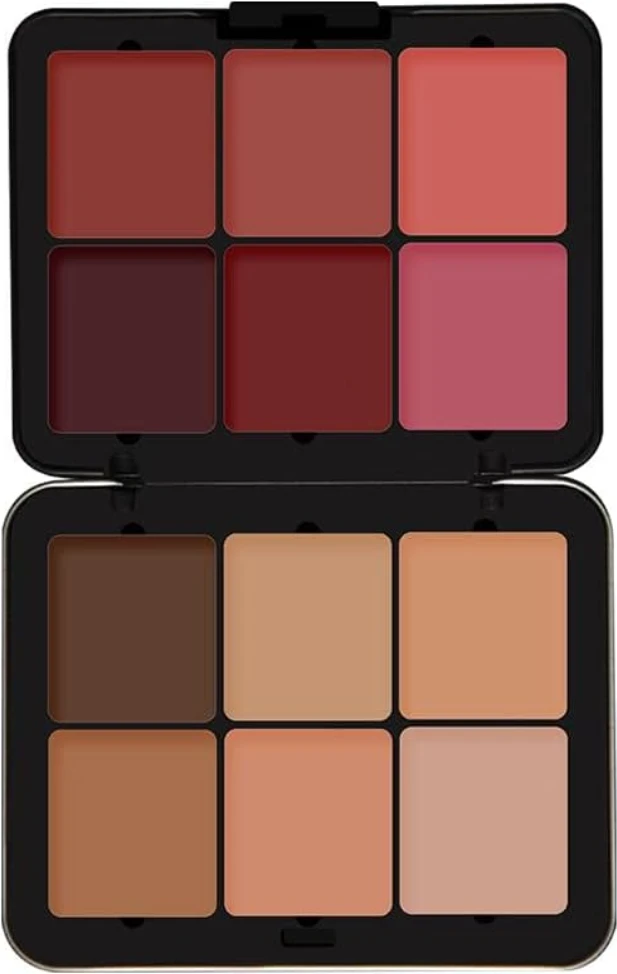 FUTURE MAKEUP HIGH DEFINITION - 12 Color Contour/Blush Cream Palette